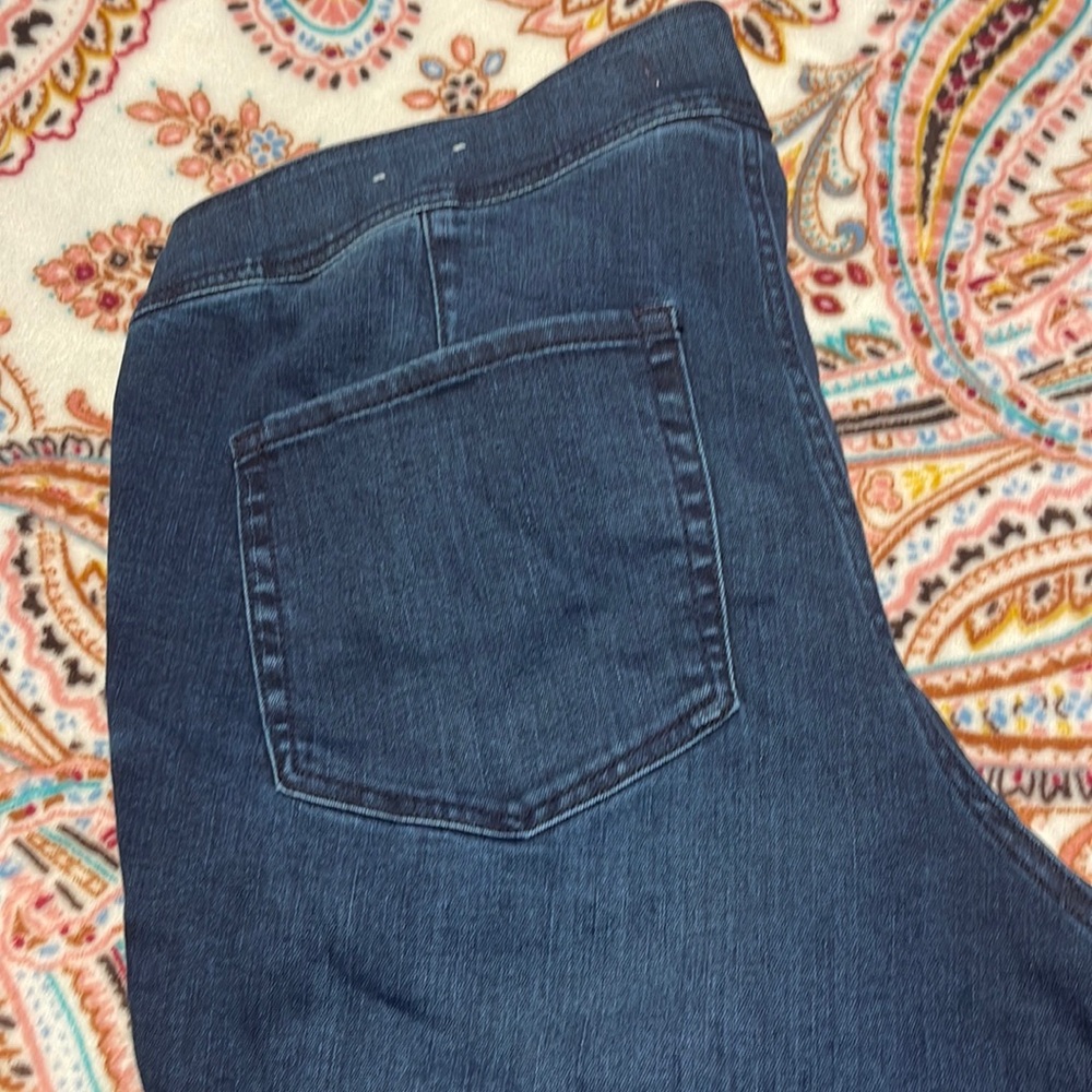 Lane Bryant Flex Magic waistband High Rise Jeggings with raw edged ankles